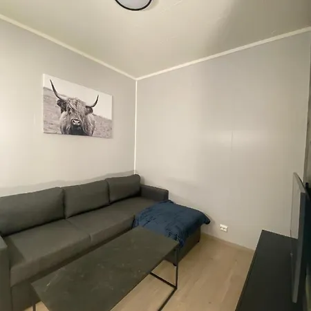Vikavegen Apartment *